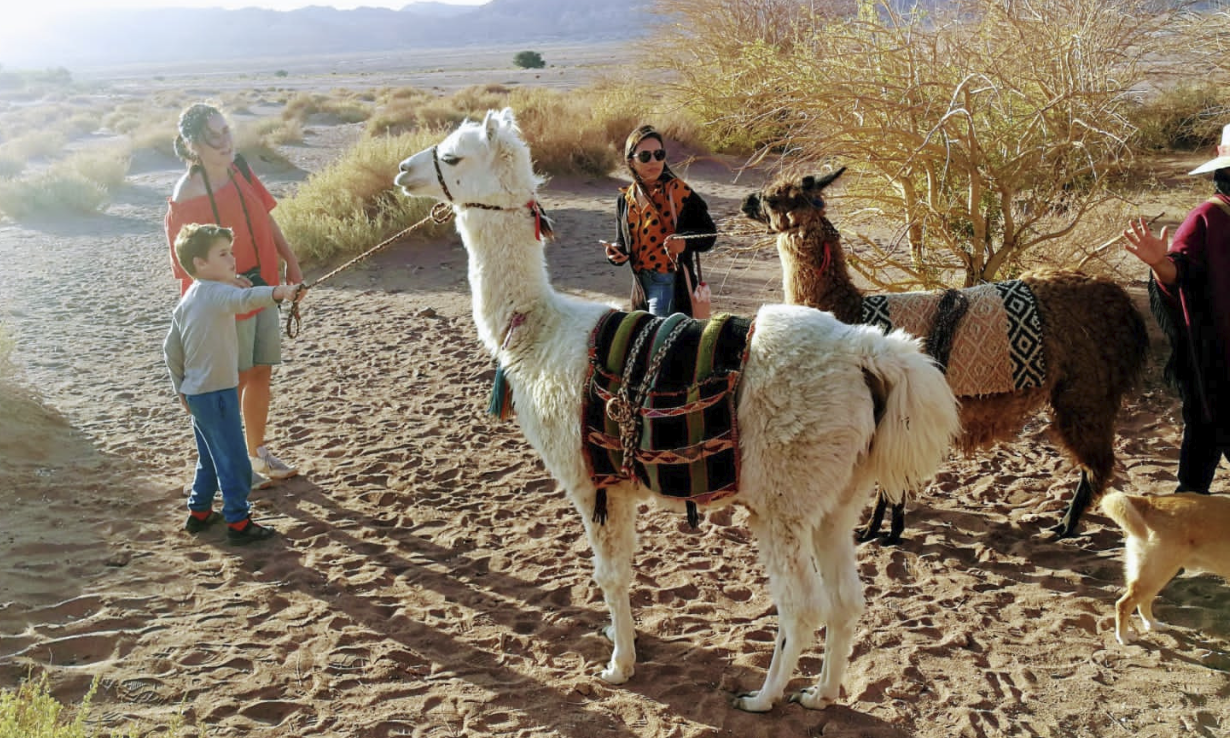 Captura de Pantalla 2023-02-13 a la(s) 08.31.08