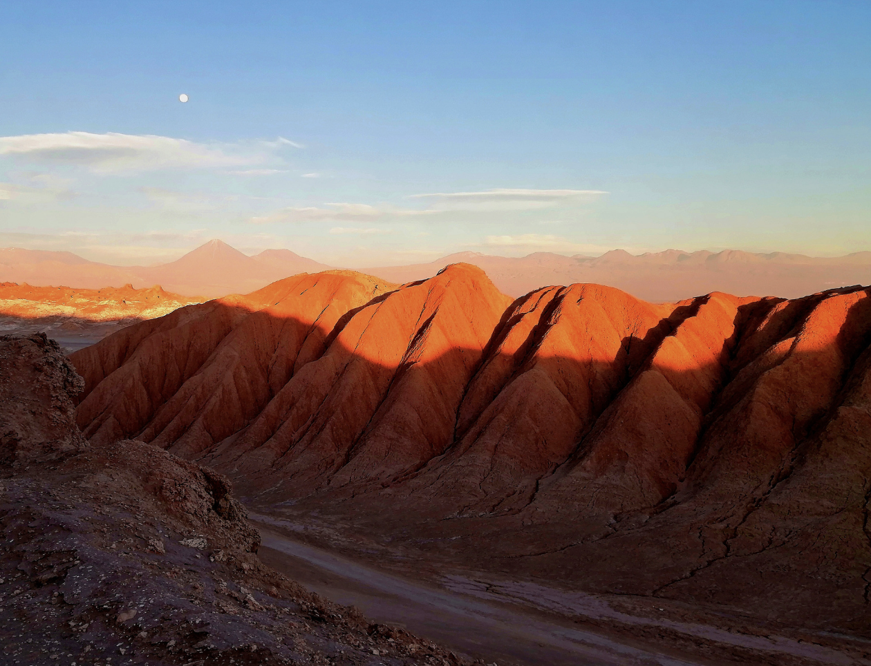 Captura de Pantalla 2023-02-15 a la(s) 10.25.00