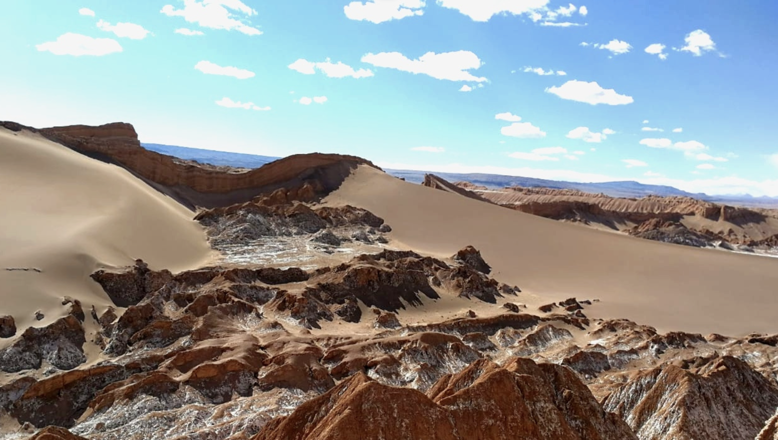 Captura de Pantalla 2023-02-15 a la(s) 10.27.27