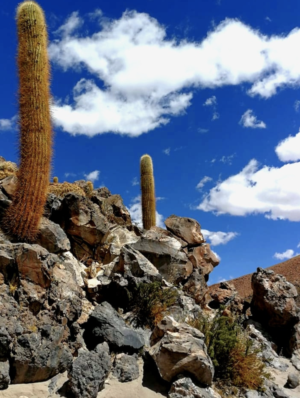 Captura de Pantalla 2023-02-15 a la(s) 10.37.54