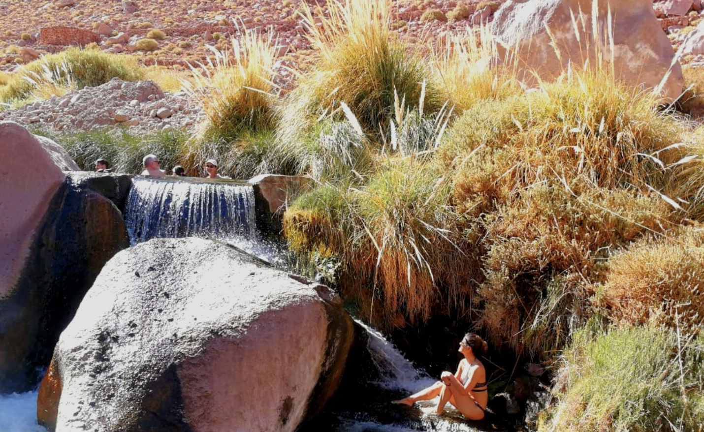 Captura de Pantalla 2023-02-15 a la(s) 10.42.23