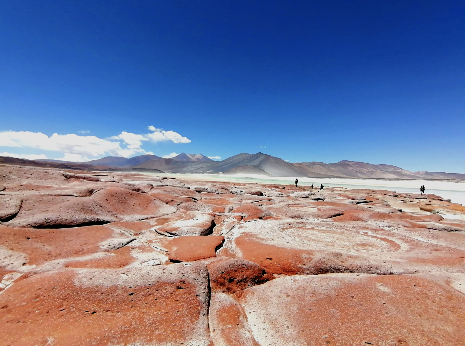 Captura de Pantalla 2023-02-15 a la(s) 10.44.52